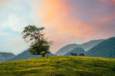 Scenic view of mountains against sky during sunset