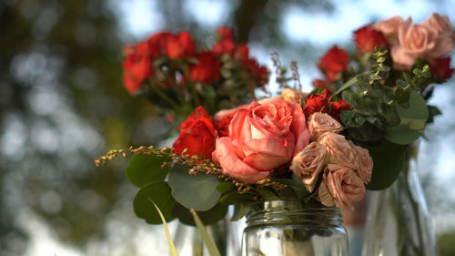 Close-up of rose bouquet