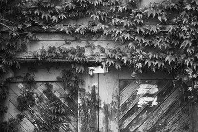 View of built structure