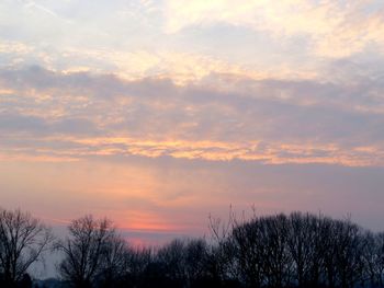 Silhouette trees against sky at sunset