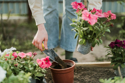 Midsection of man holding plant