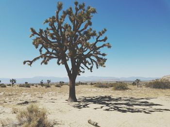 Scenic view of landscape against clear sky