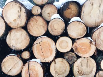 Snow on logs pile