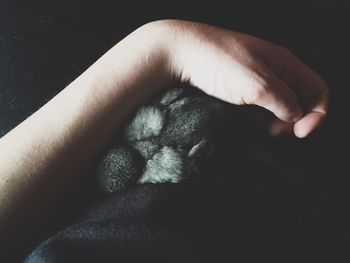 Close-up of baby hand