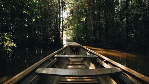 Footbridge in forest