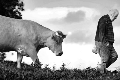 Man with cow walking on field against sky