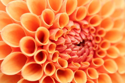 Full frame shot of orange