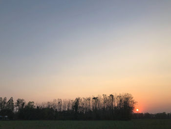 Scenic view of field against clear sky during sunset