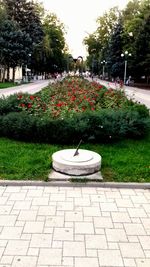 View of formal garden