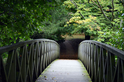 Footbridge over footpath amidst trees