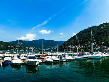 Boats moored in harbor