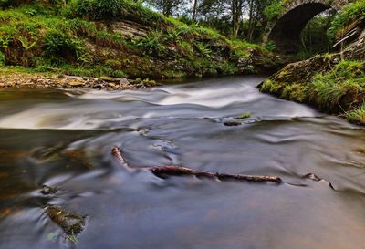 Stream flowing through rocks in forest