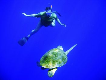 Man with tortoise scuba diving in sea