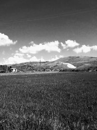 Scenic view of field against sky