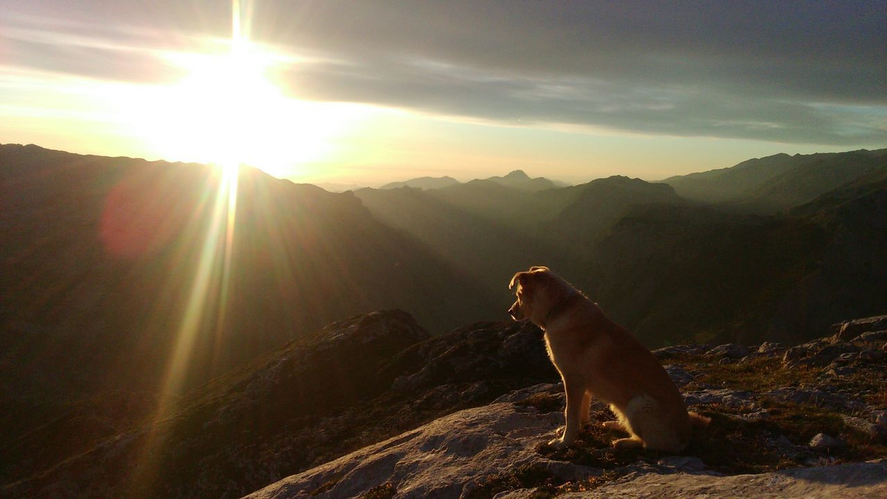 Picos de Europa