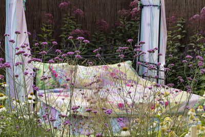 Close-up of purple flowering plants on field