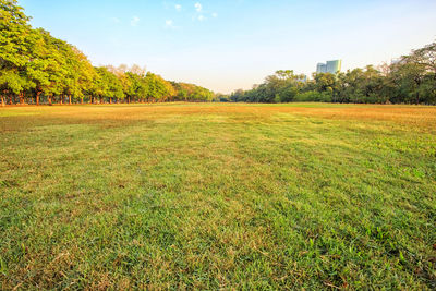 Scenic view of field against sky