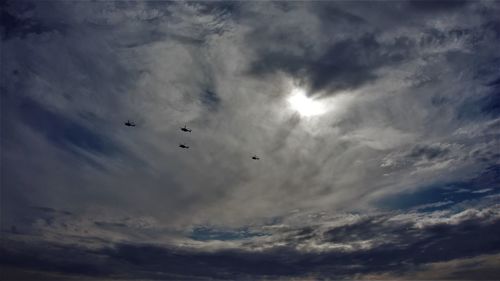 Low angle view of birds flying in sky