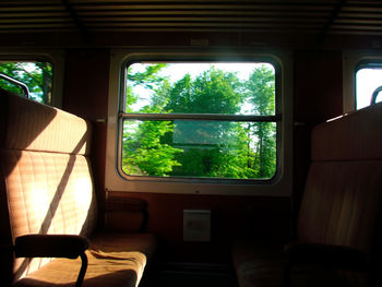 Trees seen through train window