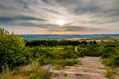 Scenic view of field against sky at sunset