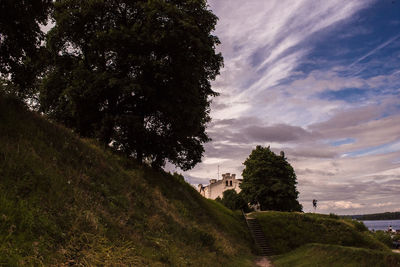 Trees on field against sky