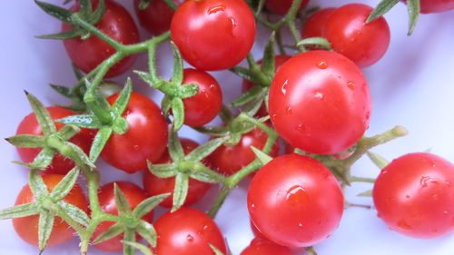 Close-up of cherry tomatoes growing on plant