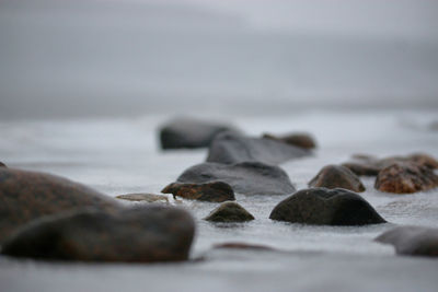 Close-up of stones on beach