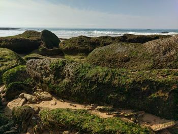 Scenic view of rocks on beach against sky