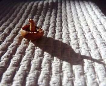 Small red leaf on floor