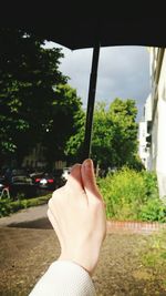 Cropped image of person holding tree trunk