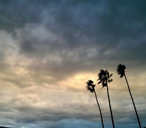 Low angle view of palm trees against cloudy sky