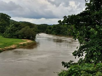 Scenic view of river amidst trees against sky