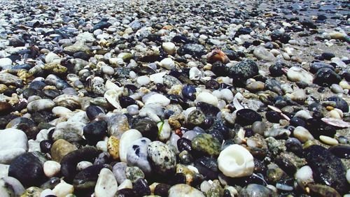 Full frame shot of stones on shore