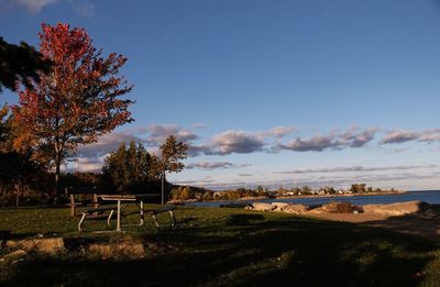 Scenic view of landscape against sky