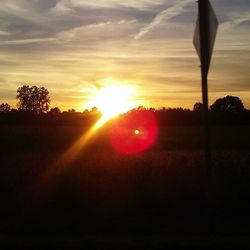 Silhouette of trees at sunset