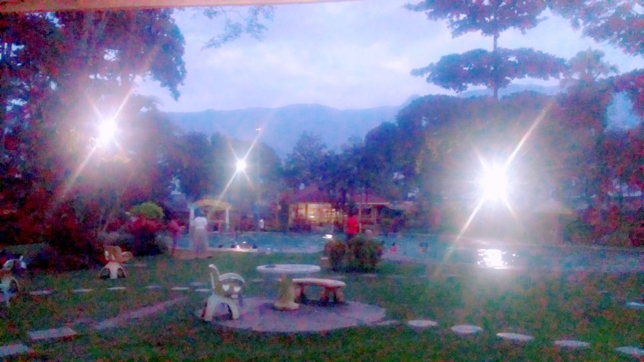 SCENIC VIEW OF PARK AGAINST BRIGHT SUN