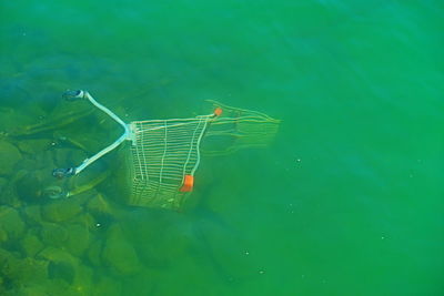 High angle view of crab on lake