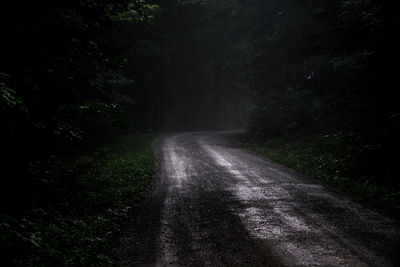 Road in forest