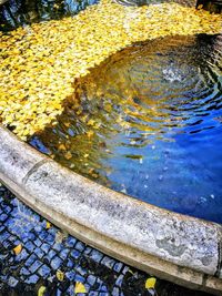 Close-up of yellow water