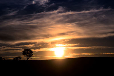 Silhouette trees against sky during sunset