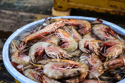 Close-up of fish on table