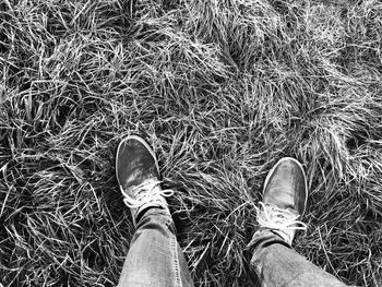 Low section of man standing on grass