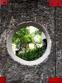 Close-up of hole on wall