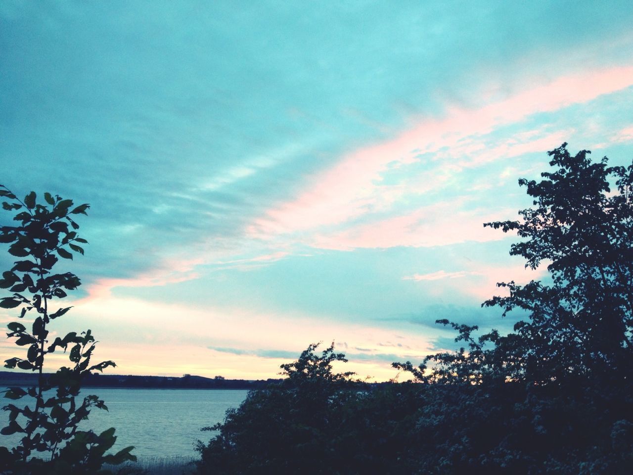 tree, sky, tranquil scene, tranquility, scenics, beauty in nature, sunset, nature, silhouette, cloud - sky, idyllic, growth, water, cloud, outdoors, non-urban scene, no people, sea, cloudy, branch