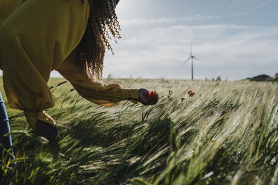 Hand of woman picking flower in meadow on sunny day