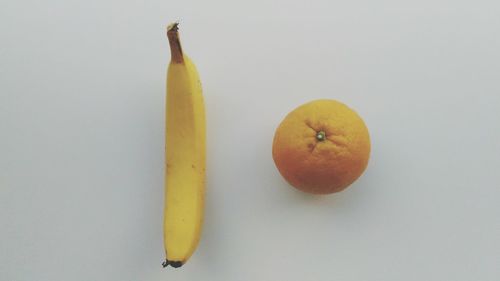 High angle view of orange fruit against white background