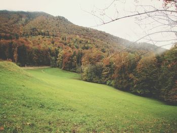 Scenic view of green field and mountains against sky