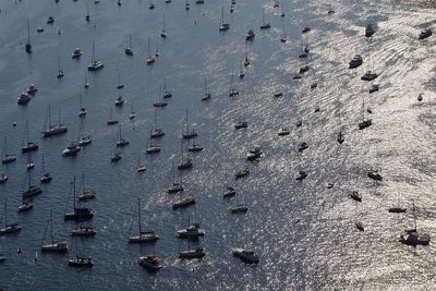 High angle view of birds in sea