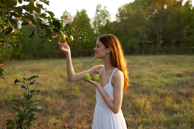 Woman harvesting apples hanging on tree