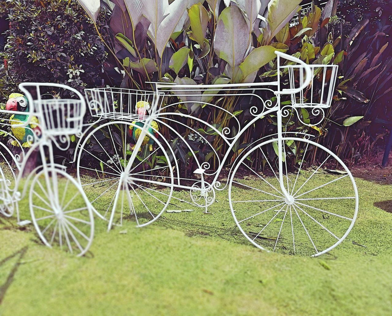 BICYCLES PARKED ON FIELD